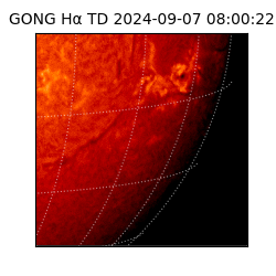 gong - 2024-09-07T08:00:22