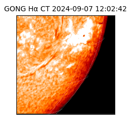 gong - 2024-09-07T12:02:42