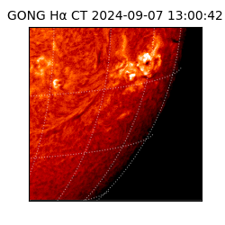 gong - 2024-09-07T13:00:42