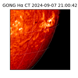 gong - 2024-09-07T21:00:42