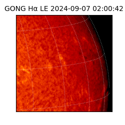 gong - 2024-09-07T02:00:42