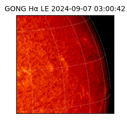 gong - 2024-09-07T03:00:42