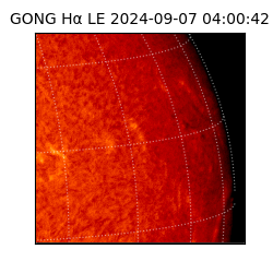 gong - 2024-09-07T04:00:42