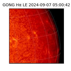 gong - 2024-09-07T05:00:42