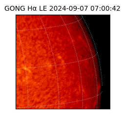 gong - 2024-09-07T07:00:42