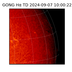 gong - 2024-09-07T10:00:22