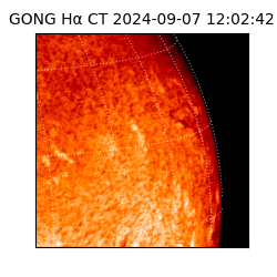 gong - 2024-09-07T12:02:42