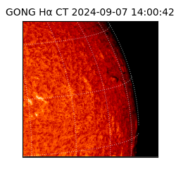 gong - 2024-09-07T14:00:42