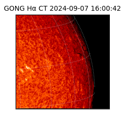 gong - 2024-09-07T16:00:42