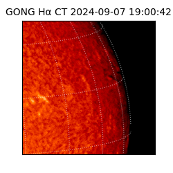 gong - 2024-09-07T19:00:42