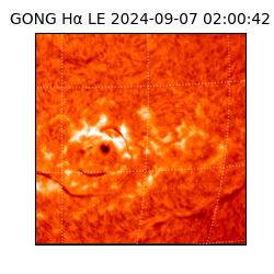 gong - 2024-09-07T02:00:42