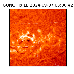 gong - 2024-09-07T03:00:42