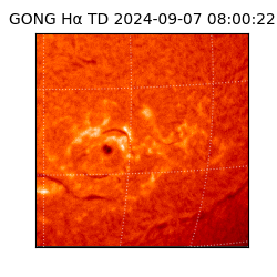 gong - 2024-09-07T08:00:22