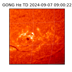 gong - 2024-09-07T09:00:22