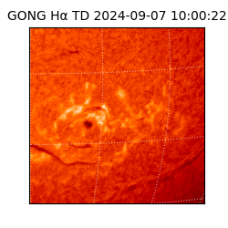 gong - 2024-09-07T10:00:22