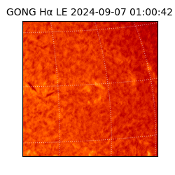 gong - 2024-09-07T01:00:42