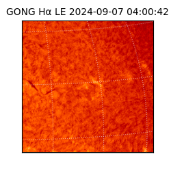 gong - 2024-09-07T04:00:42