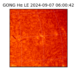 gong - 2024-09-07T06:00:42