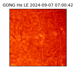 gong - 2024-09-07T07:00:42