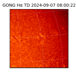 gong - 2024-09-07T08:00:22