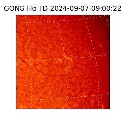 gong - 2024-09-07T09:00:22