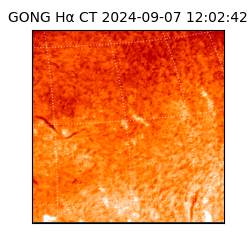 gong - 2024-09-07T12:02:42