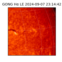 gong - 2024-09-07T23:14:42