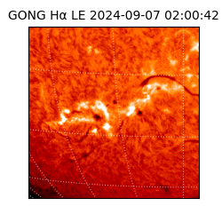 gong - 2024-09-07T02:00:42