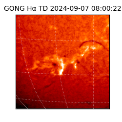 gong - 2024-09-07T08:00:22