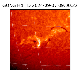 gong - 2024-09-07T09:00:22