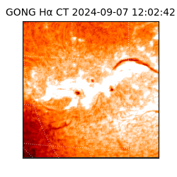 gong - 2024-09-07T12:02:42