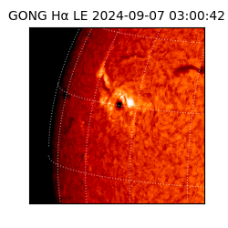 gong - 2024-09-07T03:00:42