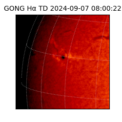 gong - 2024-09-07T08:00:22