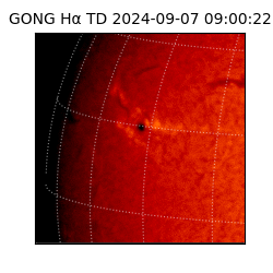 gong - 2024-09-07T09:00:22
