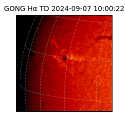 gong - 2024-09-07T10:00:22