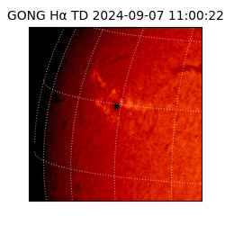 gong - 2024-09-07T11:00:22