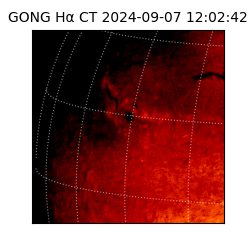 gong - 2024-09-07T12:02:42