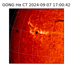 gong - 2024-09-07T17:00:42