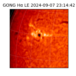 gong - 2024-09-07T23:14:42