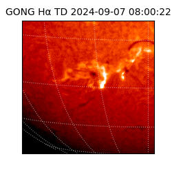 gong - 2024-09-07T08:00:22