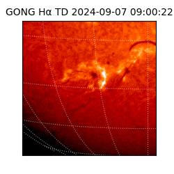 gong - 2024-09-07T09:00:22