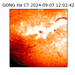 gong - 2024-09-07T12:02:42