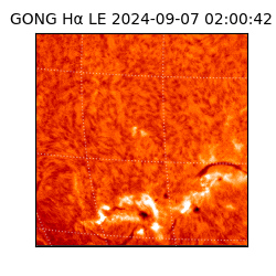 gong - 2024-09-07T02:00:42