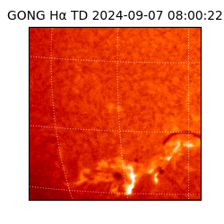 gong - 2024-09-07T08:00:22