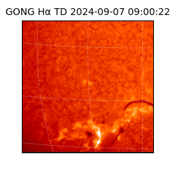 gong - 2024-09-07T09:00:22