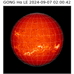gong - 2024-09-07T02:00:42