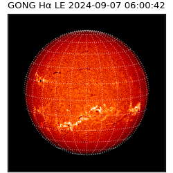 gong - 2024-09-07T06:00:42