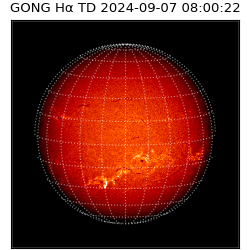 gong - 2024-09-07T08:00:22