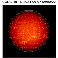 gong - 2024-09-07T09:00:22
