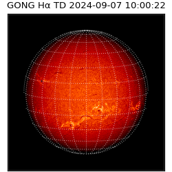 gong - 2024-09-07T10:00:22